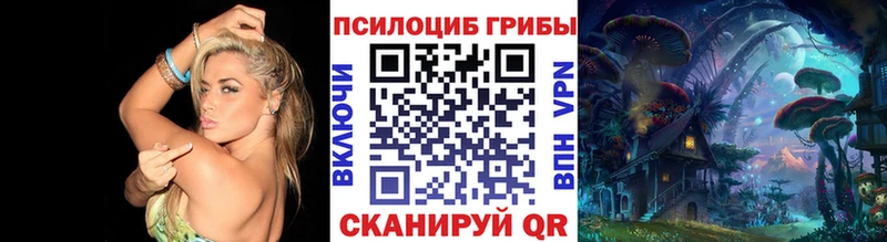 Псилоцибиновые грибы мицелий Купить где Суоярви